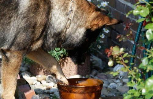 Apartment Huus Thimo by Interhome - Foto 16