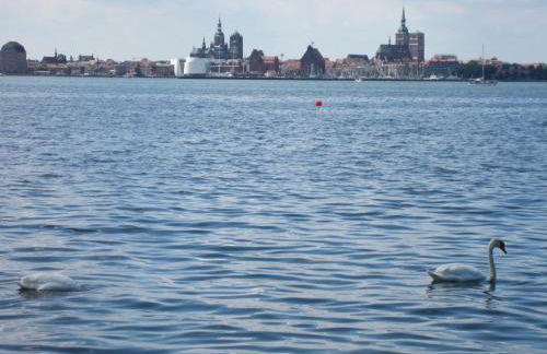 Ferienwohnung Sundblick - Photo 16