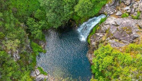 Casa do Carvalhal - Foto 2