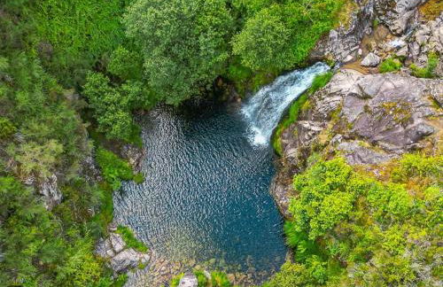 Casa do Carvalhal - Foto 2