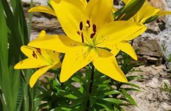 La Cabana´l Cachican - Foto 48