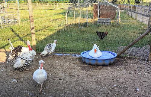 3 Bed in All Saints South Elmham oc-sfspw - Foto 21