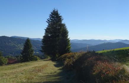 Apartment Almberg - Foto 56