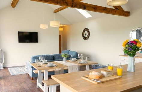 Cornflower - Foto 10