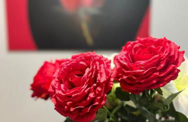 Amplio y céntrico piso con patio. - Foto 11