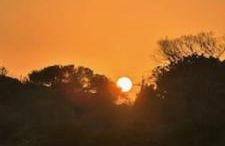 Apartment Albufeira Algarve - Foto 37