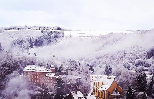 Ferienwohnung in Waldrandlage in Nationalpark Schleiden / Eifel - Foto 73