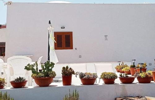 Dammuso Pantelleria - Fiori D'Ossidiana - Foto 29