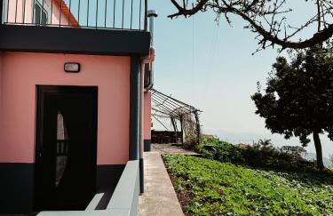 Madeira Island Rustic Mountain Home - Foto 43