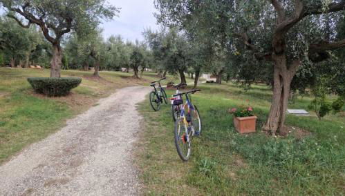 Villa Fiorentina e la Costa dei Trabocchi - Foto 3, Garden