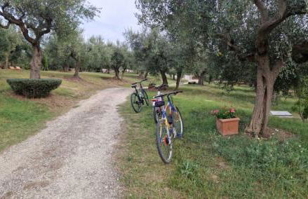 Villa Fiorentina e la Costa dei Trabocchi - Foto 3