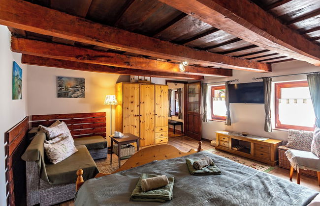 The Bird of Happiness-heaven for Dogs - Foto 7