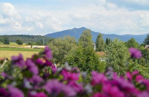 Ferienhof Altmann - Foto 17