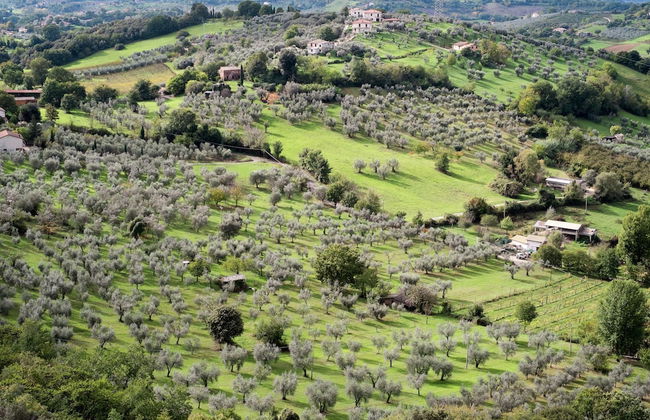 Farmhouse in Casperia With Pool & Scenic Views - Foto 38