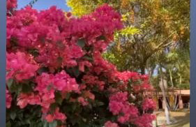 Sítio da Cachoeira Atibaia - Foto 13