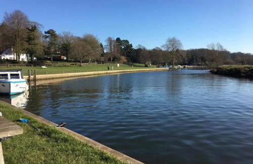 The Paddocks - Foto 23