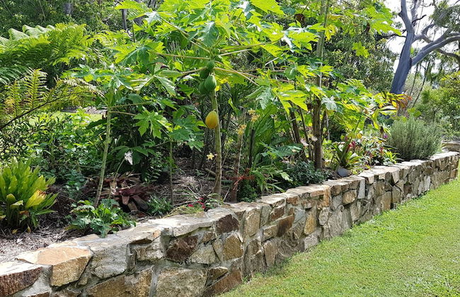 Hay Point Country B&B - Foto 14