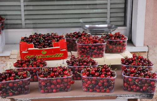 Agriturismo Terra E Sole - Foto 32