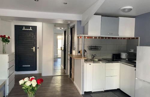 Charmant logement à Romainville - Foto 4