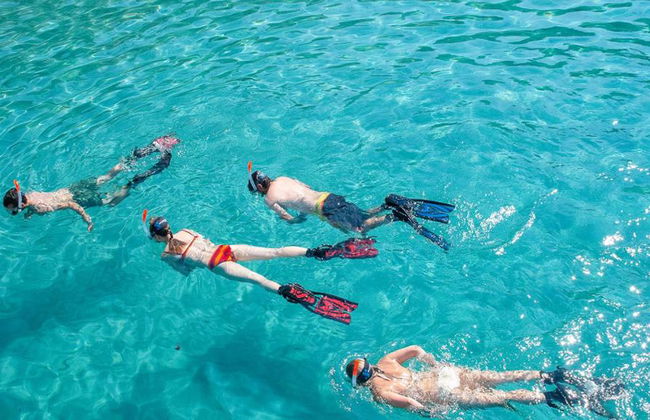 Experiência de Snorkeling nas Ilhas Malgrats – a partir de Santa Ponsa - Foto 4