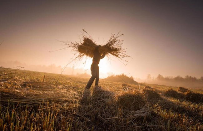 Canal-side Stay, Giethoorn - Photo 40