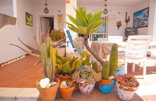 Disfruta del paraíso en primera línea de playa con Kayak y Paddle Surf - Foto 53