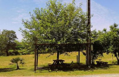 LE PUY DU FOU A 5 KM GITE 4 PERSONNES - Photo 17