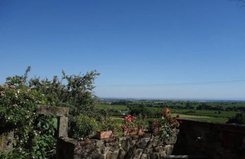 Traumblick Rebenmeer - Foto 23