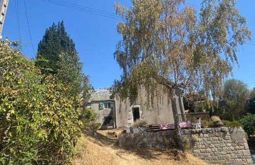 Maison de village avec terrasse et jardin Saint Urcize - Foto 1