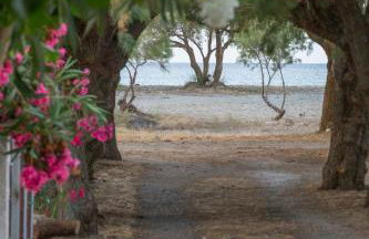 Aadonis traditional house on the Sea - Photo 52