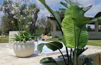 Dimora Santi Medici - Foto 29