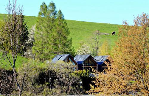 Domki Pod Cerkwią - Foto 24