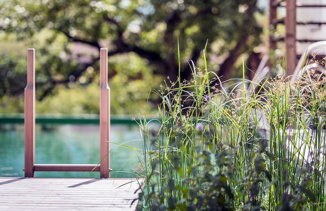 Das Urgestein - Foto 44