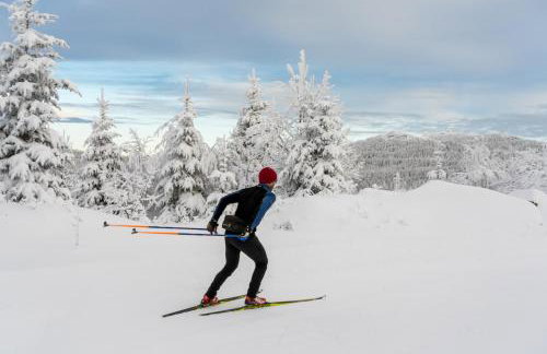 Landhaus Lerchenweg FeWo inkl aktivCARD - Foto 15