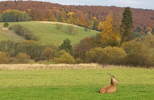 Domki w Zielonym Gaju - Foto 16