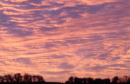 The Cottage - Hot Tub - nr Glasgow - self check-in - Foto 58