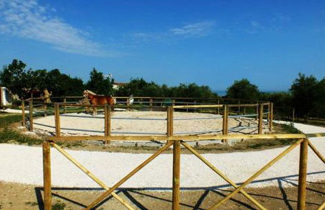 Agriturismo La Casa della Lavanda - Il Rustico - Foto 50