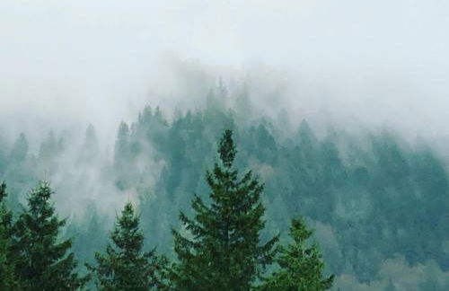 Cosy T2 au Mont Dore Sauna privé et vue montagne proche thermes - Foto 30