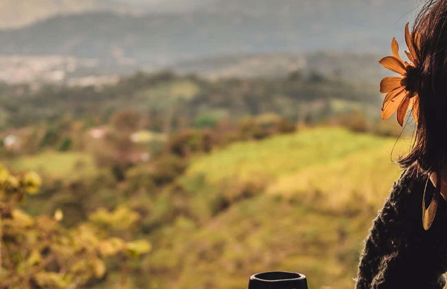 Visite guidée sur le thème du café dans le domaine Tierra Activa - Photo 1