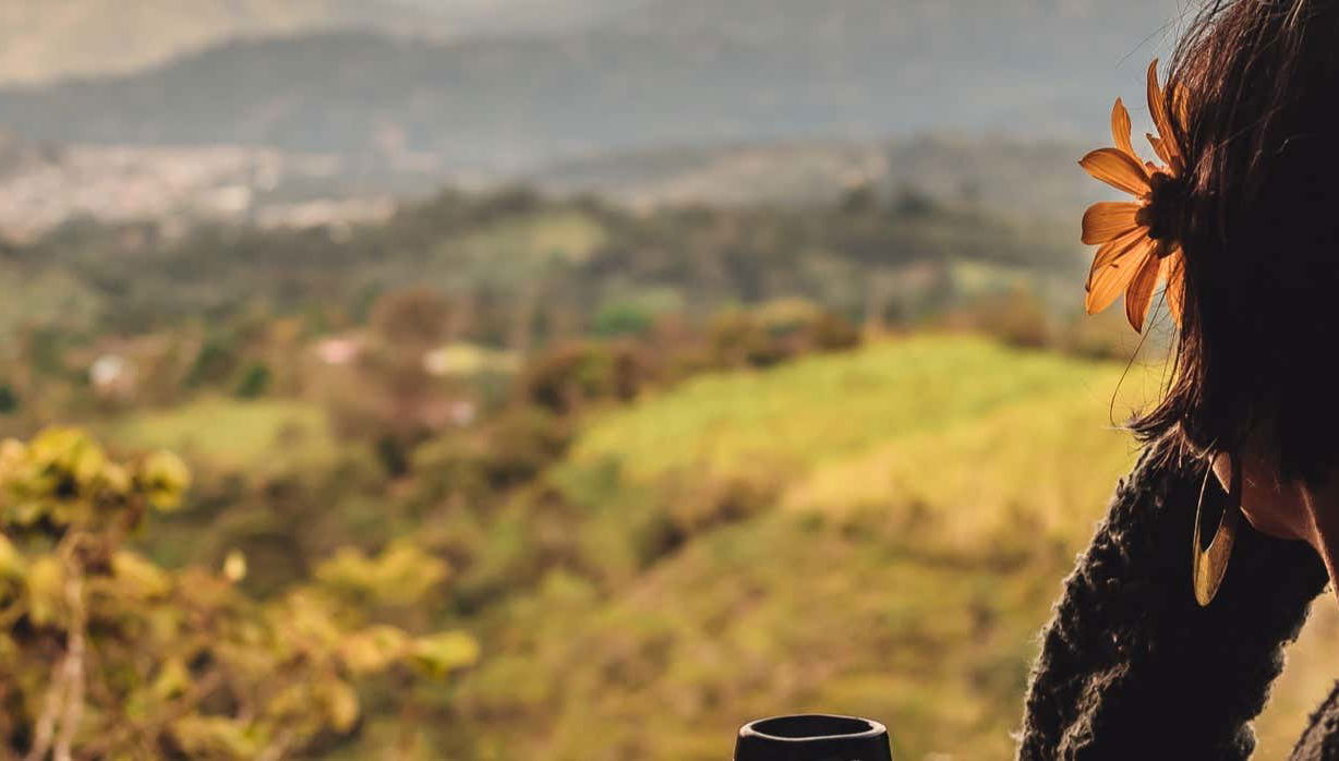 Finca Tierra Activa Coffee Tour