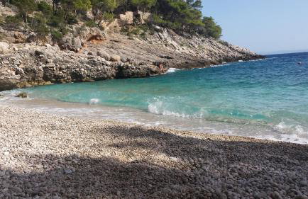 Villa Jagoda - Foto 63