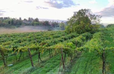 Agriturismo Al Dugale - Foto 18