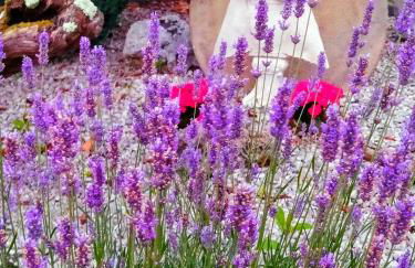 FINCA LA GRANDA DE LA CONCHA - Foto 44