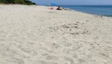 Charmant T3 en rez de jardin d'une villa - Foto 3