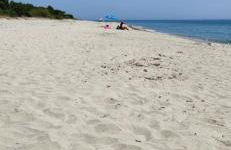 Charmant T3 en rez de jardin d'une villa - Foto 3