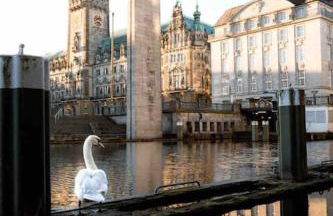 Modern, ruhig, gemütlich: 2 Zimmer Wohnung in bester Lage nahe Alster + Stadtpark - Foto 41