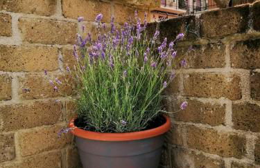 Il Casale di Luna - Foto 36