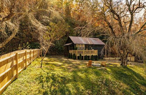 Little Blue in the Smoky Mountains - Foto 17