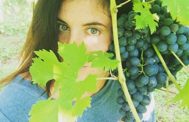 Agriturismo Castanito - Foto 40