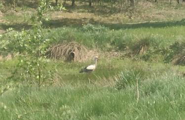 Dom wypoczynkowy na Kaszubach o niezwyklym klimacie - Foto 39